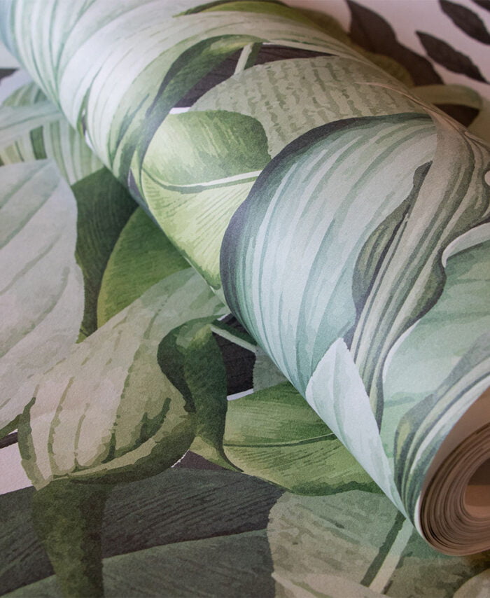 Tropical Forest coconut